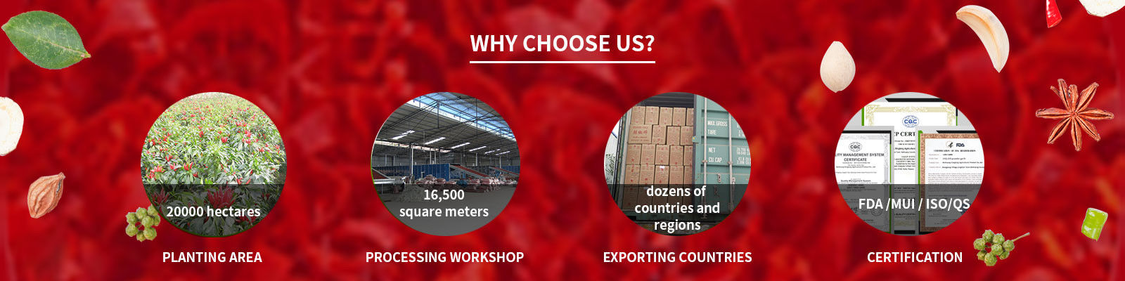 칠리 후추 분말