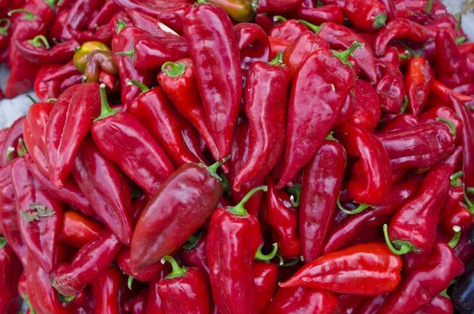 나이황 공장은 탈수 빨간 달콤한 파프리카 칠리를 생산합니다