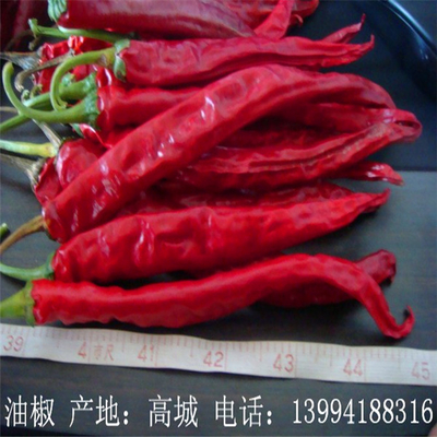 정통 칠리 페퍼 8~12%의 수분과 공기 건조 과정을 가진 Erjingtiao 건조 칠리