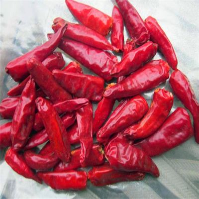 강렬한 맛을 가진 샷 모드