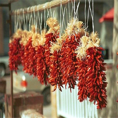 공기에 건조 된 붉은 총알 칠리 어두운 빨간색 모자와 함께