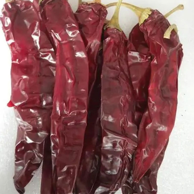 가벼운 칠리 가루 로 요리 를 향료 시키십시오