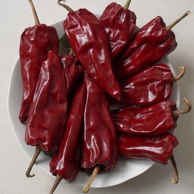 가벼운 건조한 칠리로 요리 창조를 높여라 - 유두 칠리의 길이는 7-15cm