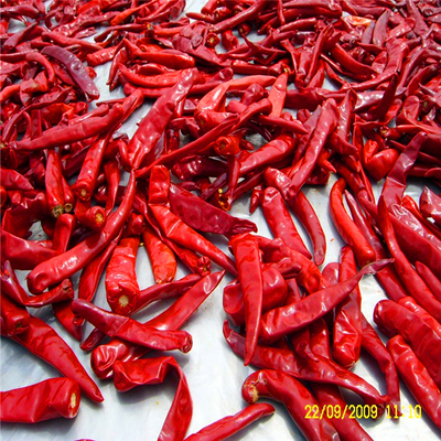 식재료로 된 매운 중국어 붉은 칠리 피퍼