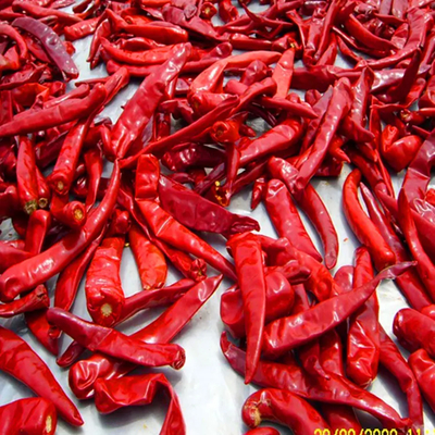 단위 무게 10kg 최대 12%의 수분 함량을 가진 칠리