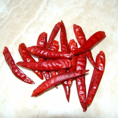 강한 맛의 구아히요 칠리 팟 수프 소스 요리 및 마리네이드