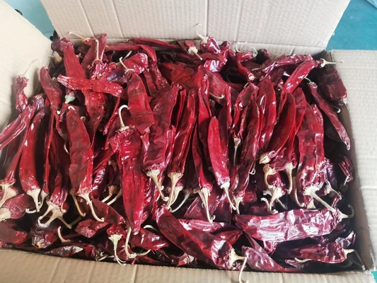 마른 칠리 팟 500SHU 20-25cm로 접시에 약간의 열을 더하십시오.