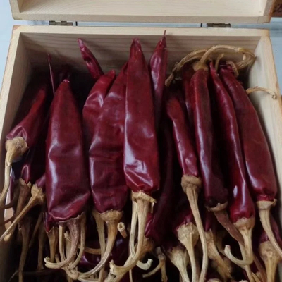 건조 된 줄기 또는 줄기 컷 케이엔 치리 페퍼 12% 최대 수분