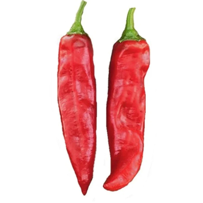 아스타 60-220와 함께 첨가한 붉은 칠리 페퍼 파우더