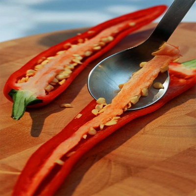 맛있는 매운 칠리 페퍼 가루 가 요리 의 필요 를 충족 시키는 데