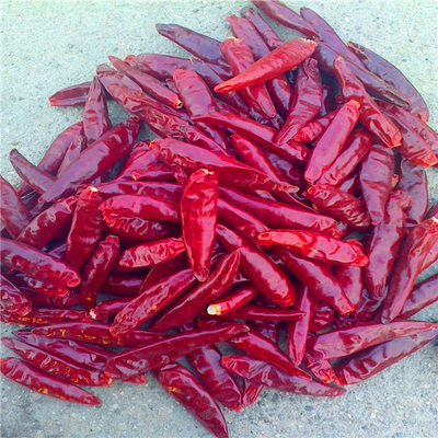 100g 맵고 느슨한 마른 천진 홍 칠리
