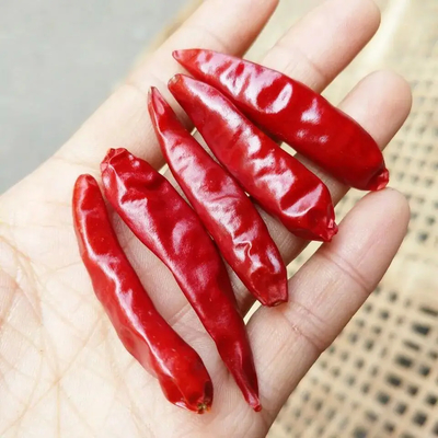 산업용 건조용 모자와 함께 붉은 총알 칠리