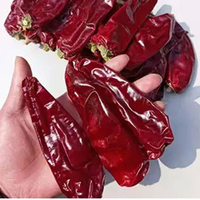 비타민 A 와 C 가 풍부 한 달콤 한 칠리 가루
