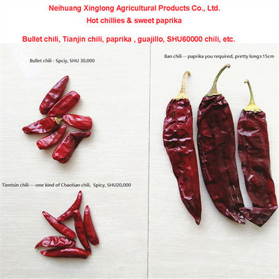 핫 픽센트 건조 된 레드 칠리 페퍼 10-25Kg/백 000-20 Scoville