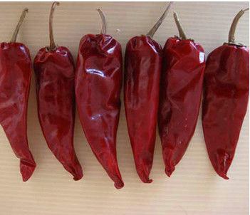 100g 천연 원형 천진 붉은 칠리