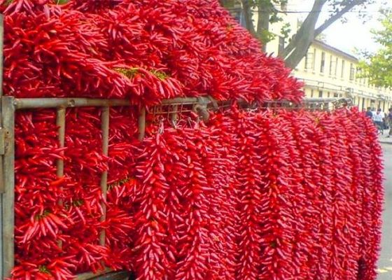 씨 없는 통 마른 고추 Chaotian Sichuan Facing Heaven Chillies