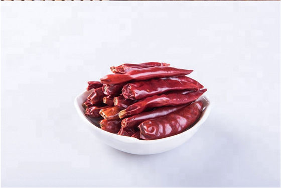 맛있는 톈진 빨간 칠레고추를 넣은 저민 고기와 강낭콩 스튜는 말린 칠레 드 아볼 고추를 바베큐합니다