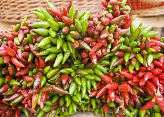 붉은 건조 된 새 눈 칠리는 비타민 A 비타민 C 철 / 칼슘 - 1KG