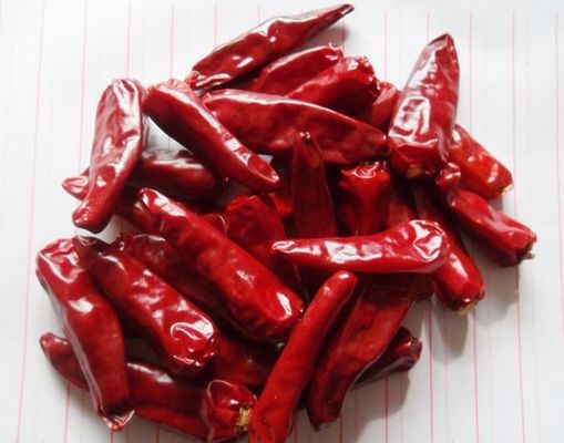 100g 케이엔 페퍼 칠리 분말 얇은 분말 붉은 건조하고 시원한 장소