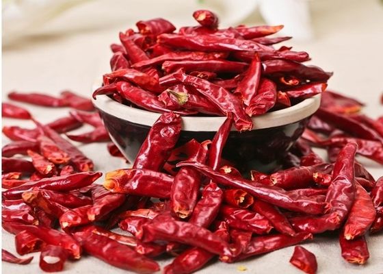 천진 레드 치리: 요리 창조물 을 화려 한 맛 으로 향상 시킬 것
