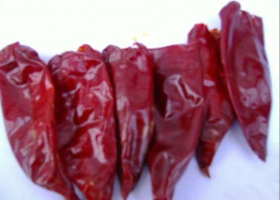 HACCP는 파프리카 고추 한 개의 풀 줄기 없는 말린 전체 빨간 칠레고추를 넣은 저민 고기와 강낭콩 스튜를 말렸습니다
