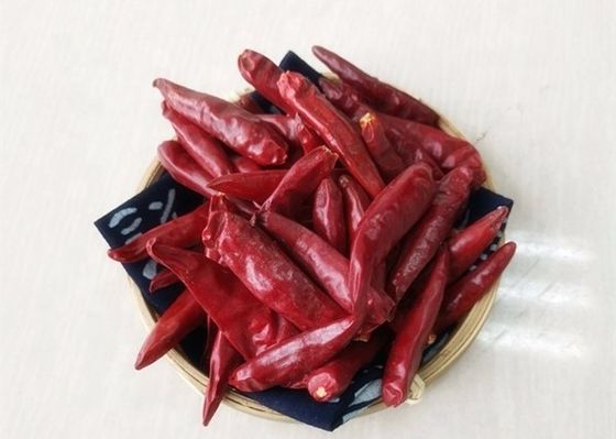 25000SHU 말린 빨강 chile pepper 톈진 칠레고추를 넣은 저민 고기와 강낭콩 스튜는 양념을 탈수했습니다