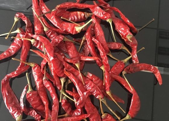 Red Yidu Chili Tianying Jinta Chili American Red Chilli New Crop FDA HACCP ISO KOSHER