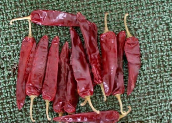 8000 SHU 천연 이두 고추 고추 Beijinghong Jinta Chilli