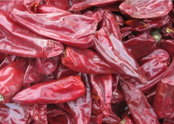 8000 SHU 천연 이두 고추 고추 Beijinghong Jinta Chilli