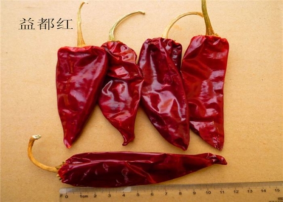 맛있는 유두 칠리 8-12cm 강한 쓴 칠리 맛 달콤한 파프리카