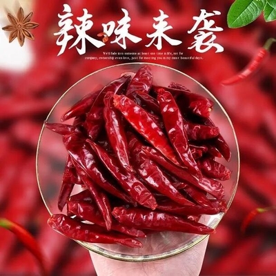 톈진 티엔 Tsin은 요리재료를 위한 레드 칠리 페퍼를 말렸습니다