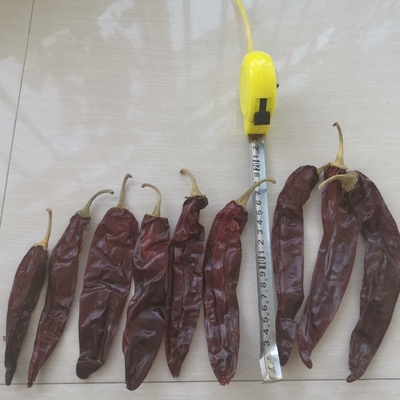 전체 / 막대기 10-15cm 길이 찌꺼기 사용용 건조 된 구아힐로 칠리