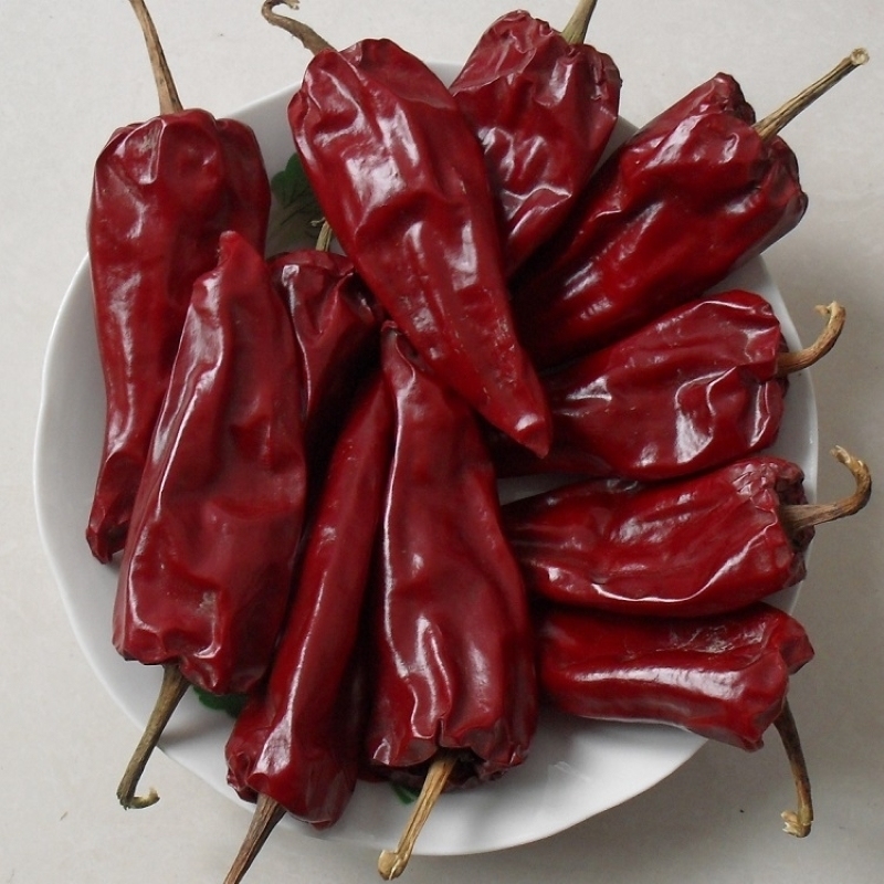 가벼운 건조한 칠리로 요리 창조를 높여라 - 유두 칠리의 길이는 7-15cm