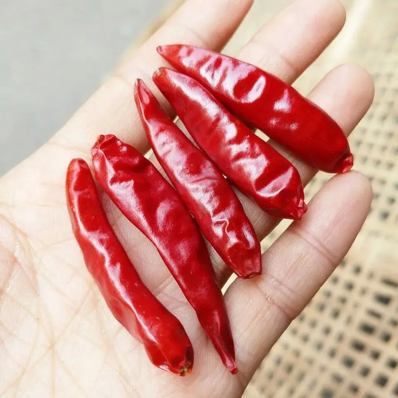 건조한 전체 붉은 칠리 / 건조한 아시아 칠리 페퍼